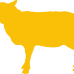 Full Sheep